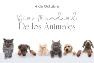 4 de octubre 1