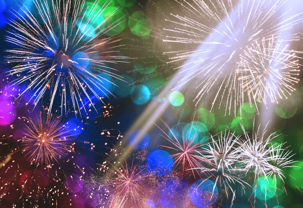 balance del año. Year-End Review. Bilan de l'année