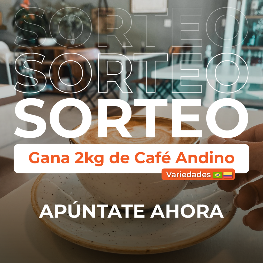 Sorteo Hernán Bustos