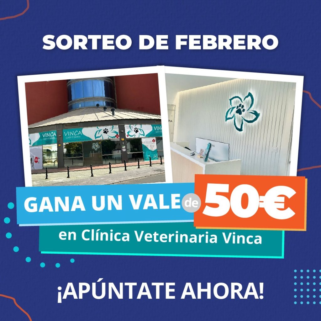 Clínica Veterinaria Vinca - Benalmádena Costa - Hernán Bustos - Real Estate Experts