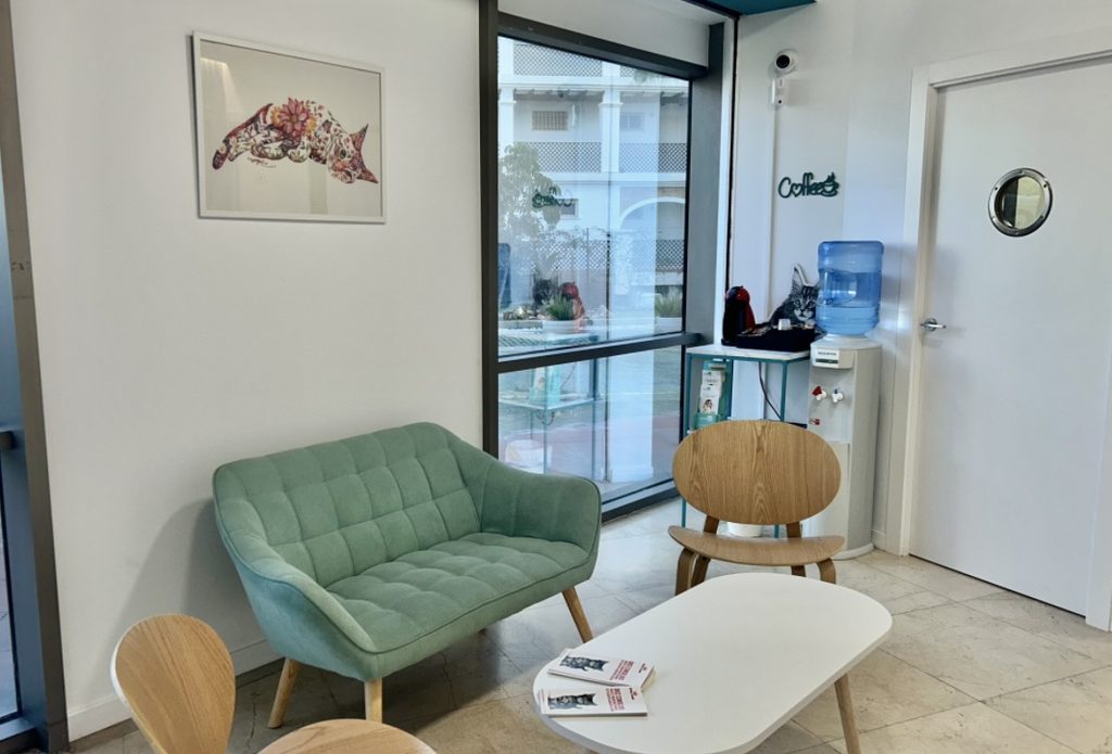 Sala espera gatos